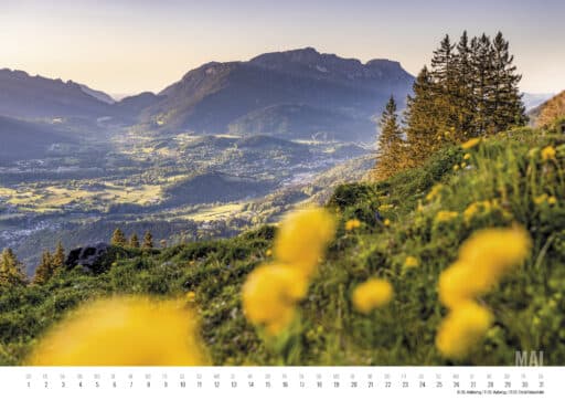 Blühende Wiesen und Berge im Berchtesgadener Land – Mai 2025, Marika Hildebrandt